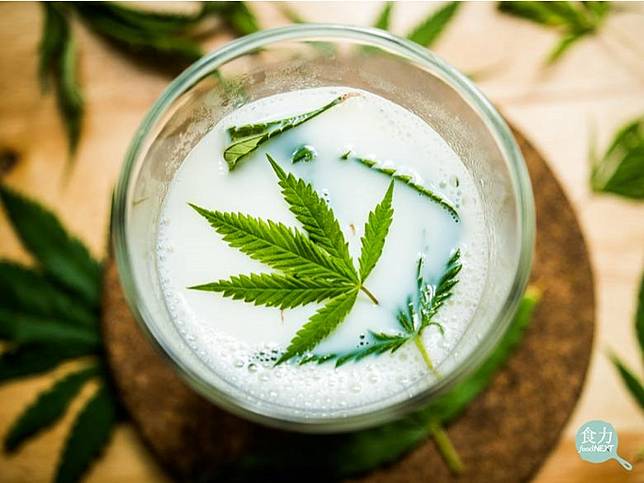 從網路搜尋量分析來看，美國消費者最在乎的是大麻成分中的「大麻二酚」，關注其助眠、保健效果。