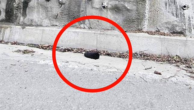 南橫公路霧鹿路段發現一隻台灣黑熊幼熊，倒臥路邊死亡。圖／林業保育署台東分署提供