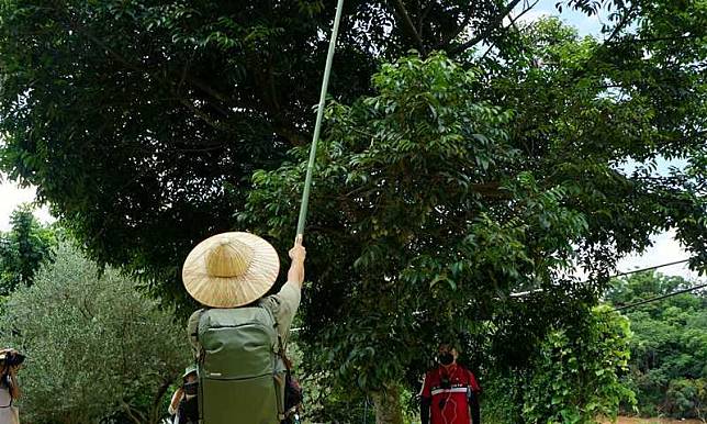 入「寶山」不能空手而回！秋高氣爽時節來去新竹寶山摘食橄欖、倒吃甘蔗，感受金風催熟了豐饒物產