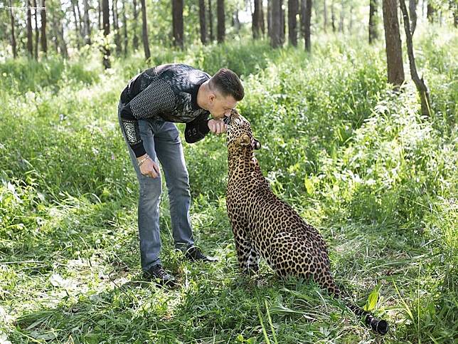 俄羅斯動物園奶人花豹不捨飼育員　樂被收編回家當大貓