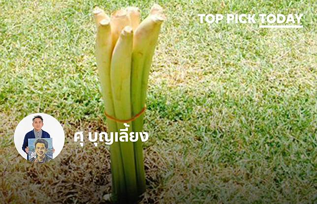 ขอบคุณภาพจาก <a href=