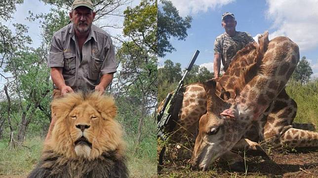 納德被稱為「冷血獵人」，曾屠殺大量動物。（圖／翻攝自Pro Hunt Africa臉書）