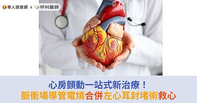 心房顫動一站式最新治療！脈衝場導管電燒合併左心耳封堵術，成功救心