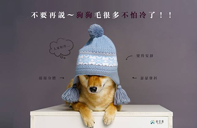 🐶不要再說～狗狗毛很多不怕冷了！！