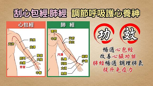 ▲心包經與肺經位置。