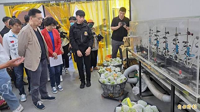 國民黨副總統候選人趙少康參訪台東鳳梨釋迦外銷包裝廠。(記者黃明堂攝)