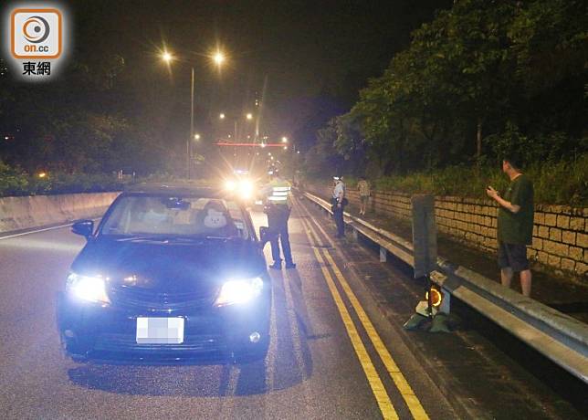 肇事私家車右車頭撞倒野豬。(余宏基攝)