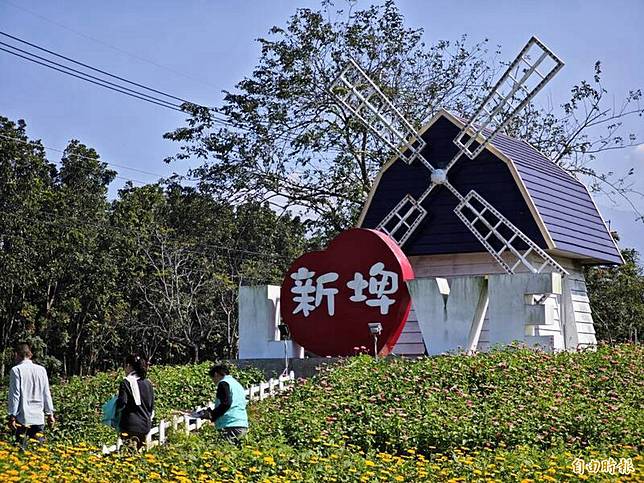 開啟地方公所普發現金的地方鄉鎮市公所，最早為屏東新埤鄉公所。圖為新埤花海。(記者陳彥廷攝)