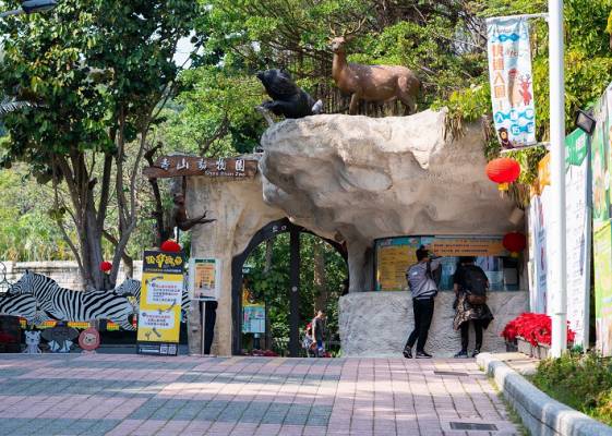 動物園也有夢幻職缺！網友曝這工作薪水更高