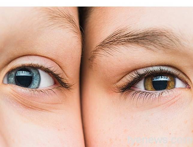 眼睛被人們稱為靈魂之窗，它可以幫助人們看到眼前的事物，接受各種訊息。示意圖：截自freepik