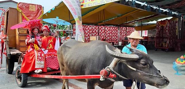 台南市長黃偉哲準備「嫁妝一牛車」賀禮將送給「台南女兒」林志玲當結婚賀禮。(台南市觀旅局提供)