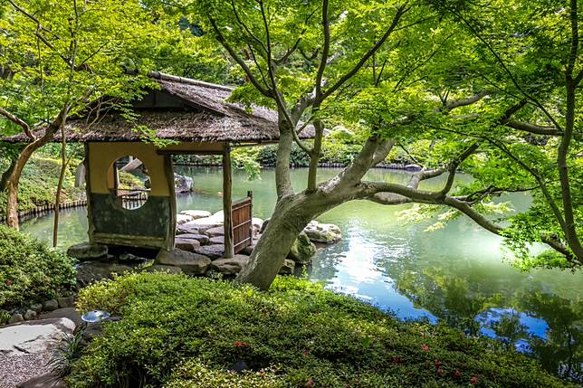 Source：Shutterstock