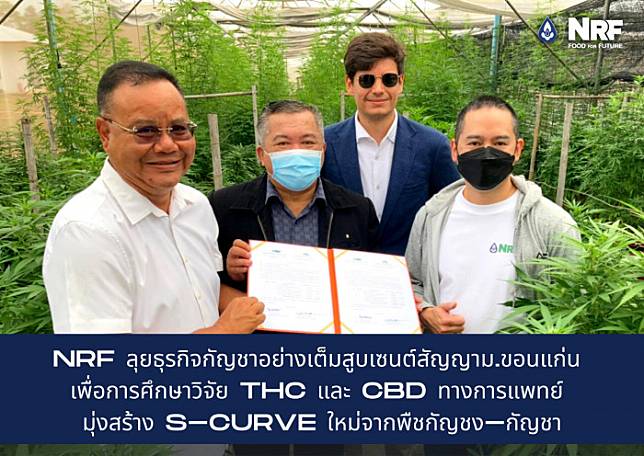 NRF รุกธุรกิจสุขภาพ ลุยธุรกิจกัญชาอย่างเต็มสูบ กับ ม.ขอนแก่น เพื่อการศึกษาวิจัย THC และ CBD ทางการแพทย์