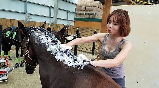 斯容超寵愛馬，週末前往馬場親手替愛馬洗香香。（東森購物提供）