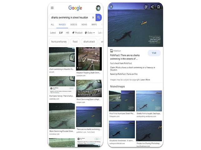 有圖不見得有真相　Google「圖像查核」標籤上線