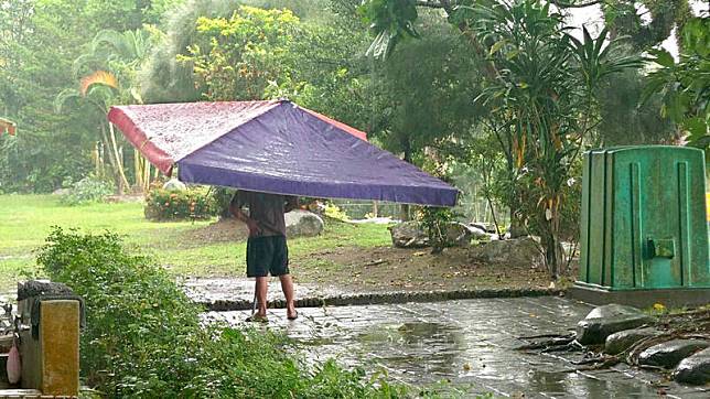 台東縣利嘉國小校園內出現一位手持超巨大工地傘的家長，在雨中等著小孩下課。(林庭瑤提供)