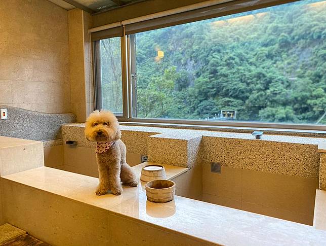 圖片來源：IG @ lovedidi_20140125