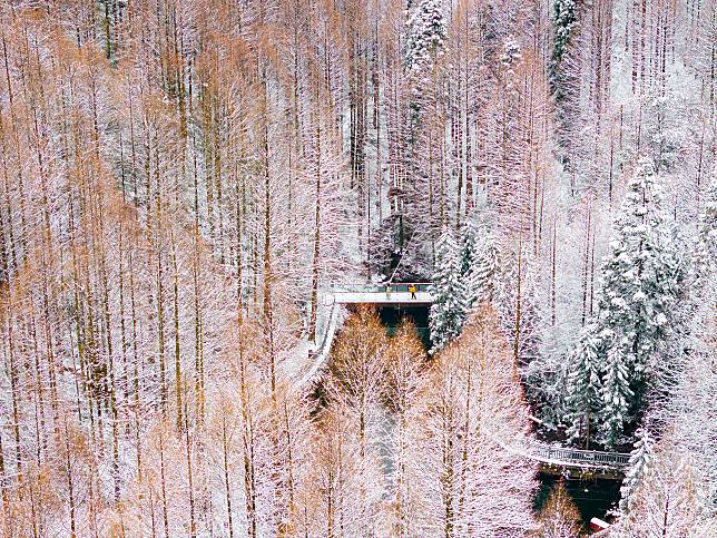 An aerial drone photo taken on Jan. 11, 2025 shows tourists enjoying the snow scenery at the Shanwangping Karst national ecological park, in Nanchuan District of southwest China's Chongqing. (Photo by Luo Chuan/Xinhua)