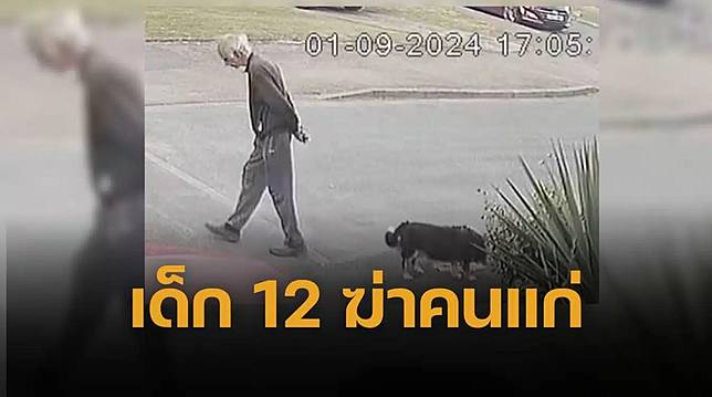 แก๊งเด็กเหี้ย.ม อายุ 12 รุมฆ่าคุณตาวัย 80 ขณะจูงสุนัขเดินเล่น อ้างแค่อยากระบายอารมณ์