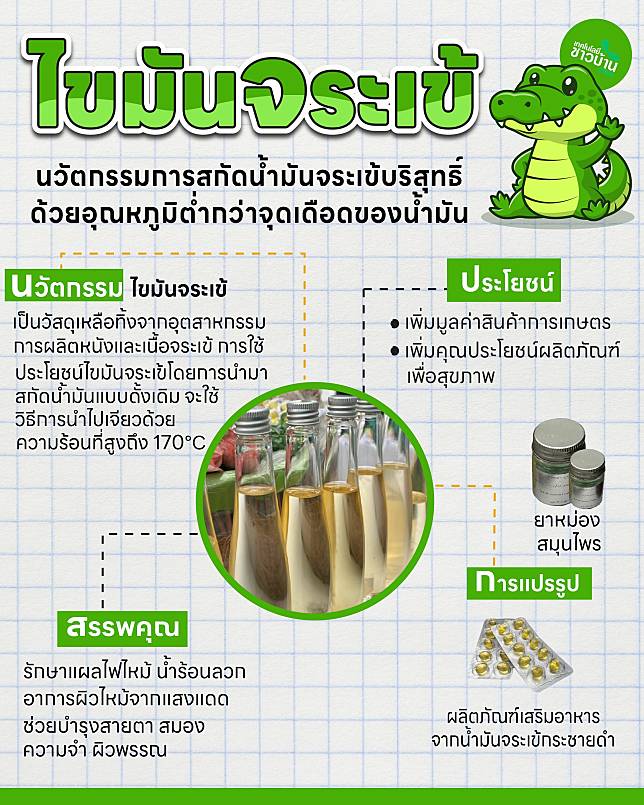 ไขมันจระเข้ 01