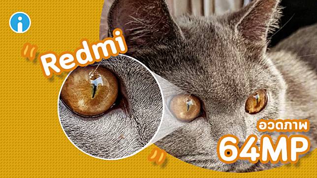 Redmi อวดภาพถ่ายจาก ว่าที่สมาร์ทโฟนกล้อง 64 ล้านพิกเซล รุ่นแรกของโลก