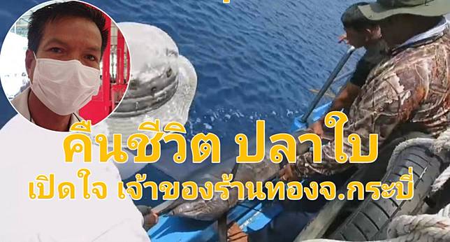 กระบี่-ชื่นชม หนุ่มใหญ่นักธุรกิจค้าทอง ตกปลาใบก่อนปล่อยคืนทะล  หลังพบเริ่มน้อยลง (มีคลิป)
