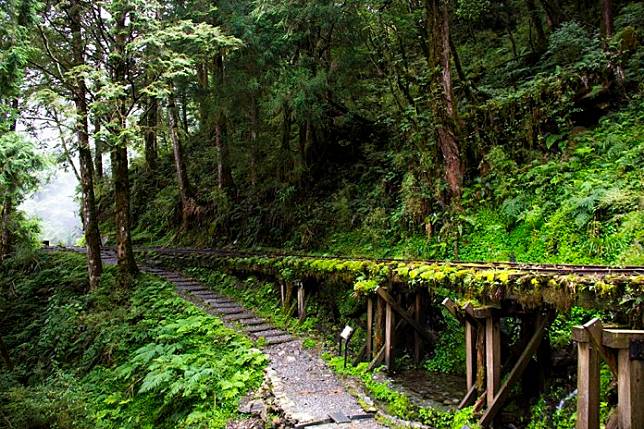 ▲夏日登山消暑路線-宜蘭太平山見晴古道。（圖／Tripbaa趣吧！亞洲自由行專家）