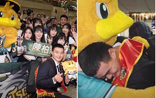 台鋼雄鷹派出啦啦隊和吉祥物「雞柳條」幫陳柏清接機。（圖／tsg_hawks IG、台鋼雄鷹 TSG HAWKS YT）