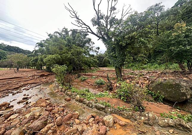 山陀兒颱風1008》農損達5億，70日內兩次颱風重擊，救助申請僅限一次，農民盼放寬