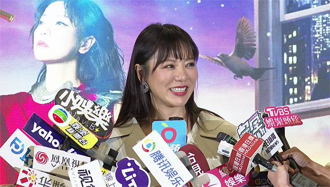 丁噹將在11月於小巨蛋舉辦演唱會。圖／台視新聞