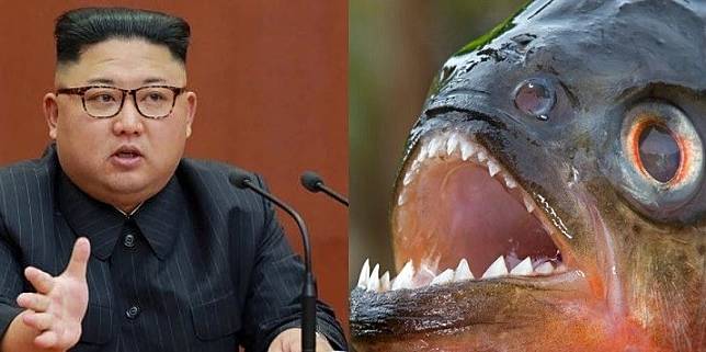 英國媒體報導，北韓領導人金正恩最近為處決一名將軍，下令將他丟入裝滿「食人魚」的水池裡，而靈感竟是來自007電影。(左圖：法新社/右圖：取自網路)
