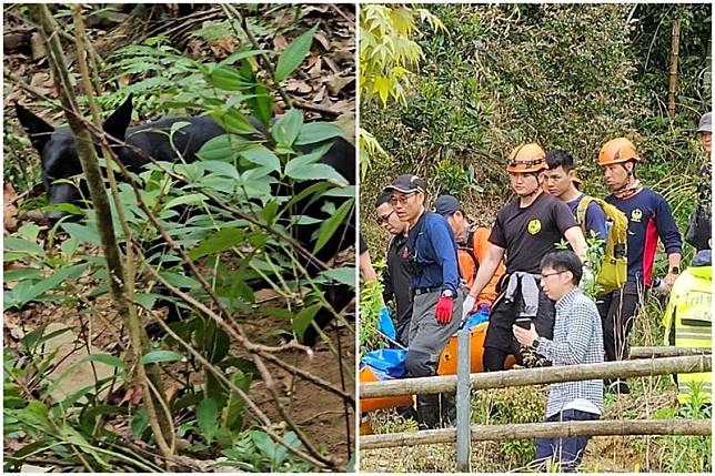桃園66歲陳姓男子日前帶著愛犬「黑皮」到新北市三峽登山，不幸失足身亡，愛犬在一旁忠心的守著遺體。（翻攝自山友臉書）