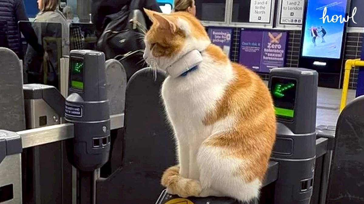 รู้จักกับ 