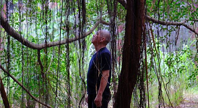 導演蔡明亮今年將帶著新作《月亮 樹》於臺北電影節世界首映。（臺北電影節提供）