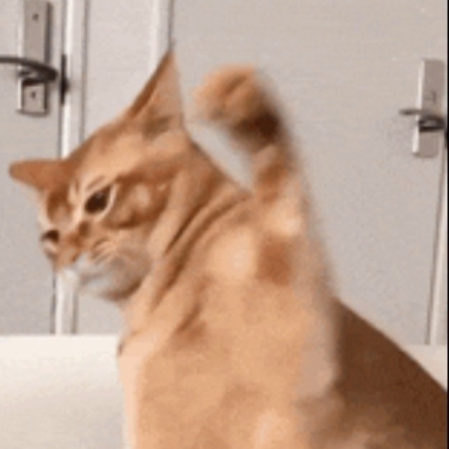 Stranger | โปรไฟล์ | LINE TODAY แพลตฟอร์มรวมข่าวสาร-บทความ อันดับ 1 ของไทย