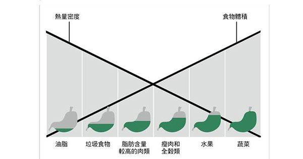 食物種類的體積與熱量密度。由左到右代表食物體積由小到大，熱量密度由高到低。食物體積越小且熱量密度越高，帶來的飽足感就越少（如下面胃部圖形所示）。（圖片提供／采實文化）