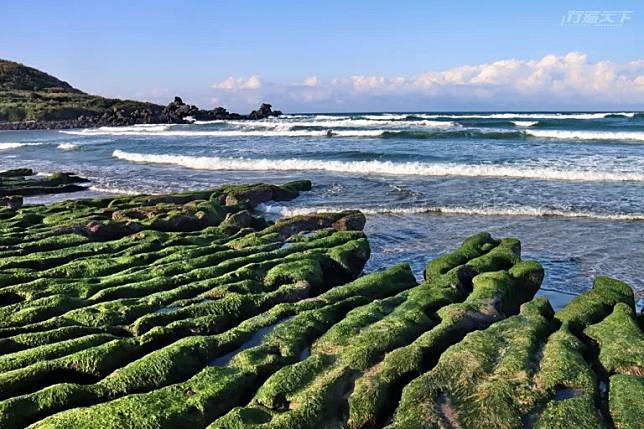 ▲季節限定的老梅綠石槽，為北海岸帶來宛如抹茶地毯般的壯觀畫面。
