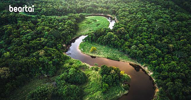 พบผู้ติดเชื้อรายแรกในชนเผ่าแอมะซอนของบราซิล หวั่น 850,000 ชีวิตตายยกป่าเหมือนครั้งอดีต