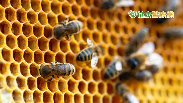 台灣綠蜂膠權威、具生技產業新藥研發專長黃中洋博士表示，蜂膠可萃取出「異戊二烯類黃酮」，且台灣綠蜂膠特殊，含有世界其他地區蜂膠沒有的功能，也因此坊間出現琳瑯滿目的台灣綠蜂膠產品，甚至沒有專利、來源與成分不純的仿冒品，消費者該如何選擇？