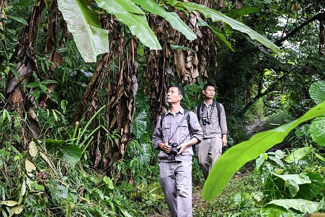 Forest rangers patrol the Bawangling area of Hainan Tropical Rainforest National Park in south China's Hainan Province, Oct. 18, 2023. (Xinhua/Zhang Liyun)