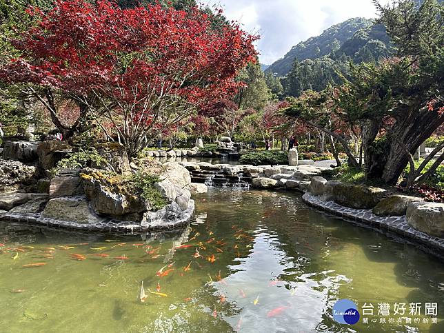 花卉中心的日月池美景最是吸引遊客前往欣賞。（記者扶小萍攝）