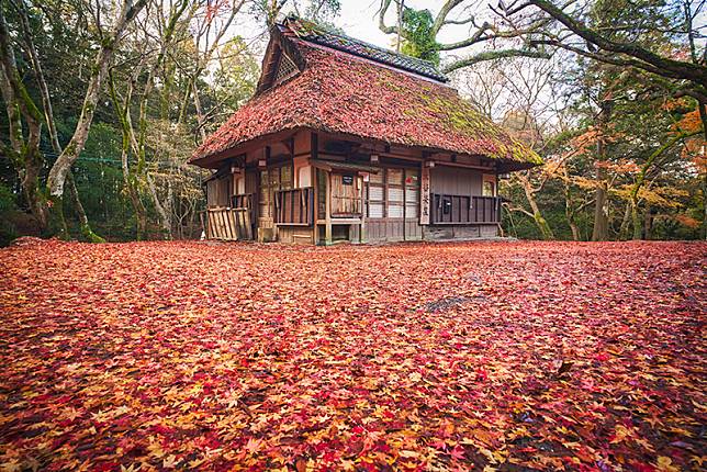 【紅葉季必去】幻境級甜點屋 奈良公園水谷茶屋