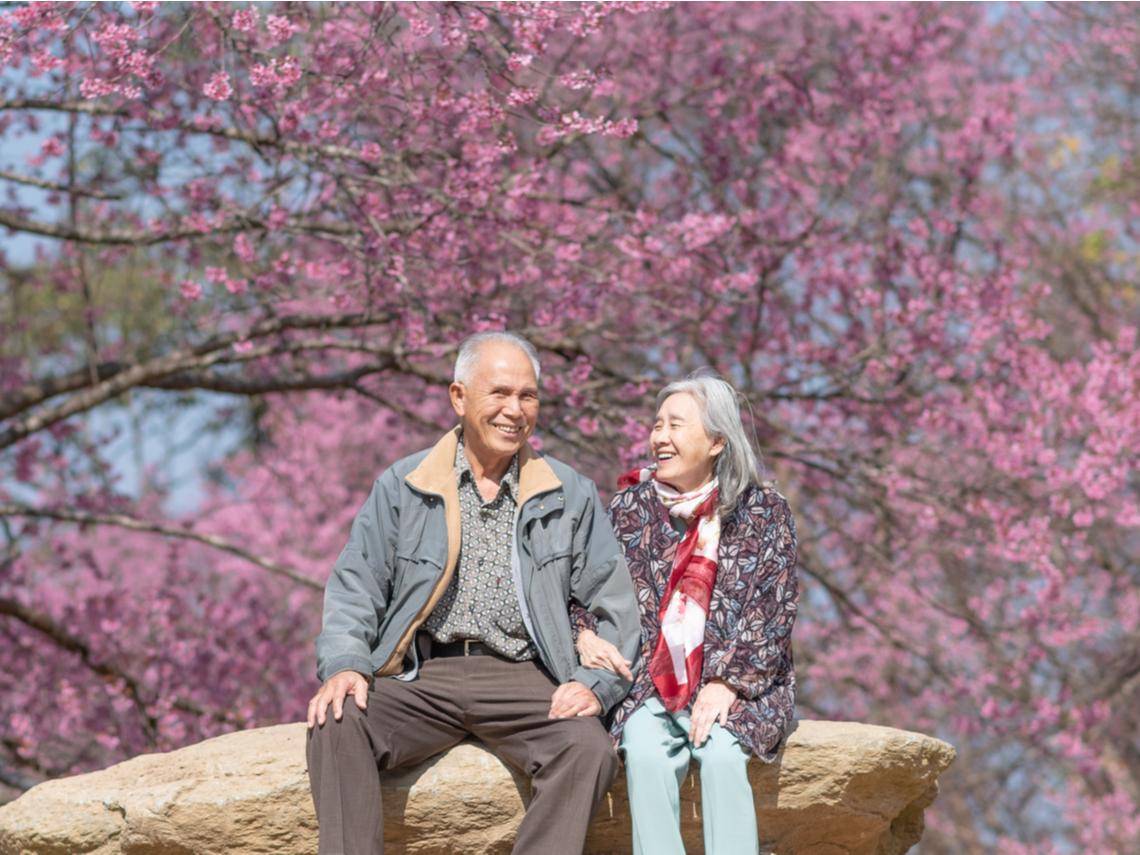 The Longevity Diet: Secrets of Japanese Centenarians Revealed