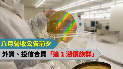 八月營收公告前夕，外資、投信同步買進「這 1 漲價族群」...