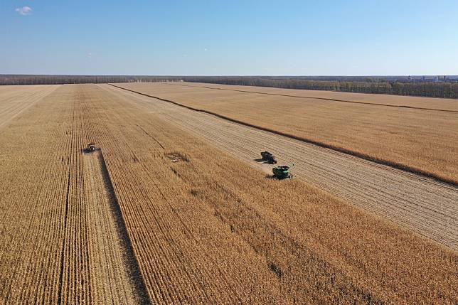 An aerial drone photo shows agricultural machines working in corn fields at a farm of Beidahuang Group in northeast China's Heilongjiang Province, Oct. 12, 2024. (Xinhua/Wang Song)