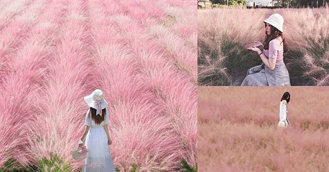 南投最新打卡景點！紫色薰衣草拍起來就像韓劇女主角，韓國機票先省下！
