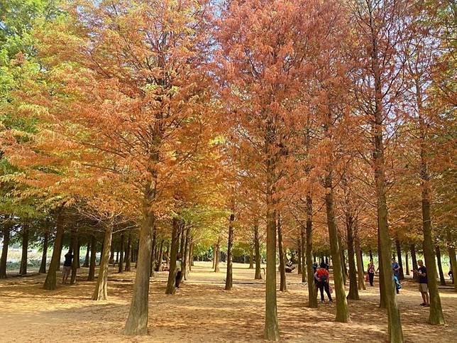 照片來源：IG@j262724