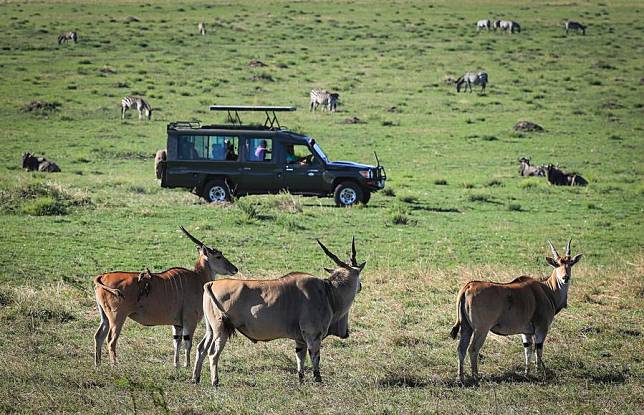 A tourist vehicle drives in the Masai Mara National Reserve in Kenya, on Oct. 12, 2024. (Xinhua/Han Xu)