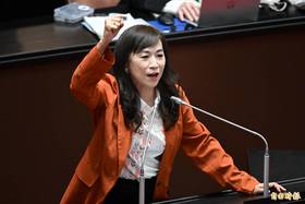 民進黨立委林宜瑾。(資料照)