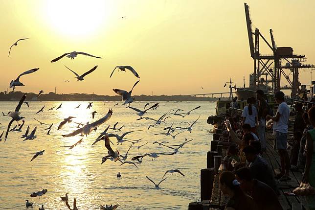 People feed seagulls near a jetty along the Yangon River in Yangon, Myanmar, Feb. 20, 2025. (Xinhua/Myo Kyaw Soe)